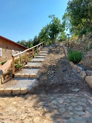 Il Sogno Di Teresa * Camerota